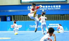 申城璀璨映武林:全國(guó)青少年“武林